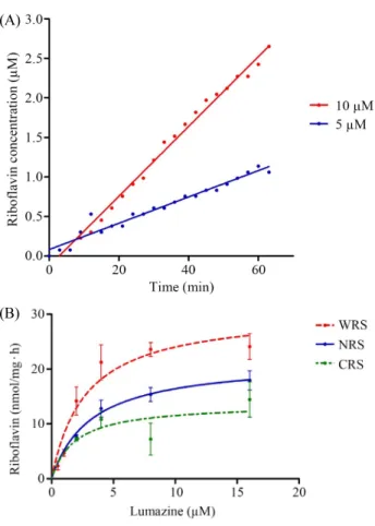 Table 3. The K m  and V max  values of W-RS, N-RS, and C-RS from Photo- Photo-bacterium leiognathi