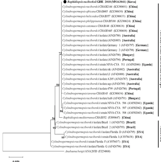 Fig. 2. Molecular phylogenetic analysis by maximum likelihood method based on cpcBA-IGS with Anabaena bergii as the outgroup