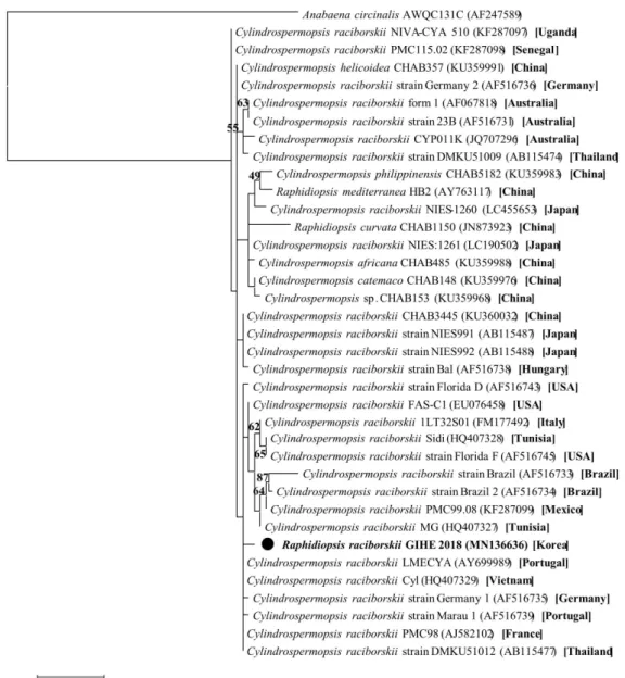 Fig. 4. Molecular phylogenetic analysis by maximum likelihood method based on 16S rRNA gene with Anabaena circinalis as the outgroup