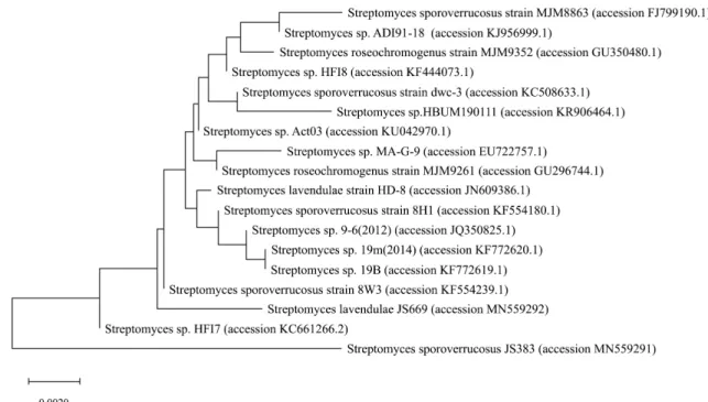 Fig. 1. Phylogenetic trees of isolates JS383, JS669 and related taxa based on their 16S rRNA gene sequences