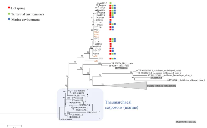Fig. 1. Phylogenetic tree of pPolB gene sequences. The OTUs obtained from different locations were indicated as follows red, green, and blue squares for hot  spring, terrestrial, and marine samples, respectively