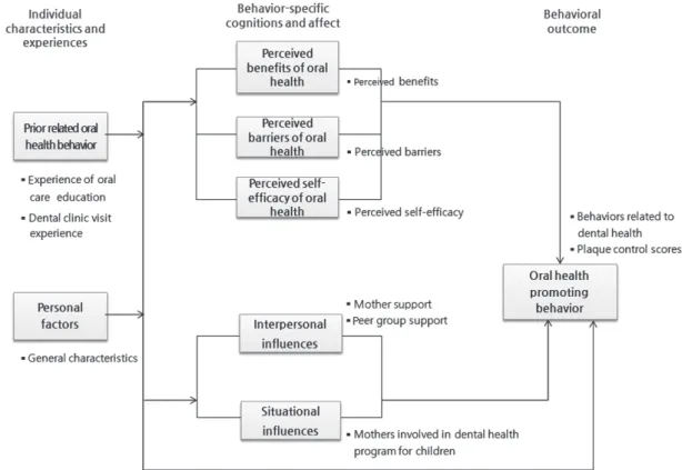 Figure 1. Conceptual framework of mothers involved in dental health program for children