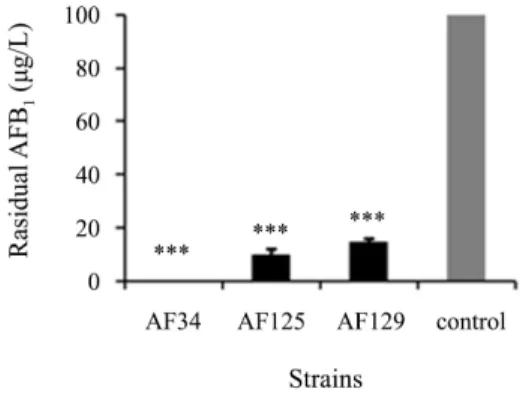 Fig. 1.  Degradation of AFB 1  (100 µg/L) by strains AF34, AF125, and  AF129 in NB medium (37°C, 150 rpm, 72 h)