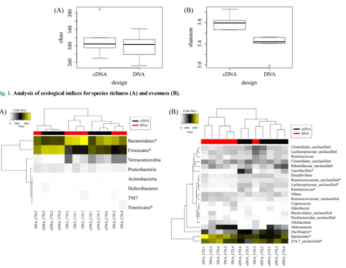 Fig. 2. Taxonomic composition analyses at the phylum level (A) and the genus level (B)