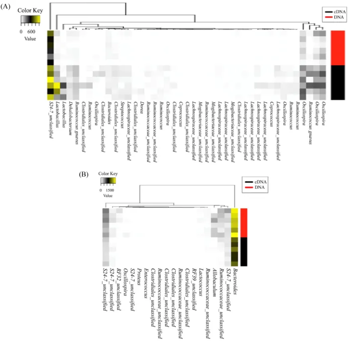 Fig. 3. Differentially more abundant OTUs in cDNA (A) and DNA (B).