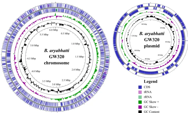 Fig. 1. Circular genome map of Bacillus aryabhattai GW320 chromosome and its plasmid. From inside to outside of the circular genome map, each circle in  the genome map contains 1) G + C contents, 2) G + C Skew, 3) Forward CDS, and 4) Reverse CDS.