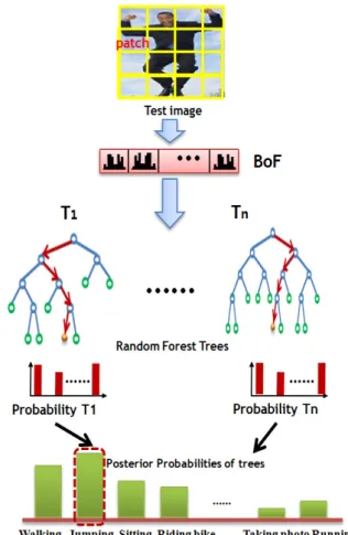 그림 3. 랜덤 포레스트에 의한 입력 영상 분류 과정 Fig. 3. Input  image  classification  using  random  forest 학습된 이후에 그림 3과 같이 테스트 영상을 입력받아 동일한  차원의  BoF를 추출하여 랜덤  포레스트에 적용하고 행동을 분류한다
