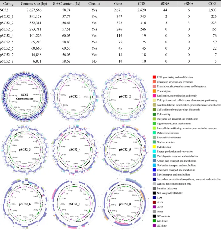Table 1. Genomic features of contigs of strain SC52