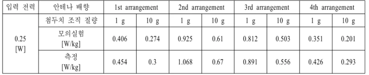 Fig.  18.  SAR  measurement  result.