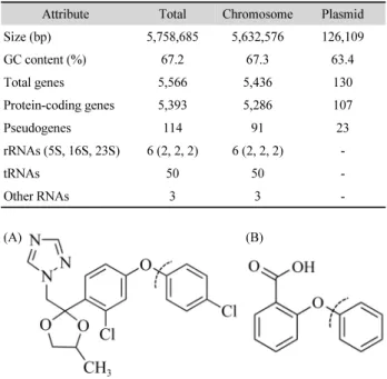 Fig. 2. Maximum likelihood tree based on the deduced amino acid sequences of dioxygenases present only in strain C8-2 and not in S