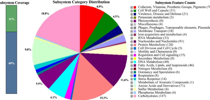 Fig. 1. Subsystems distribution statistic of P. acidilactici strain SRCM103444 based on genome annotations performed according to RAST server.