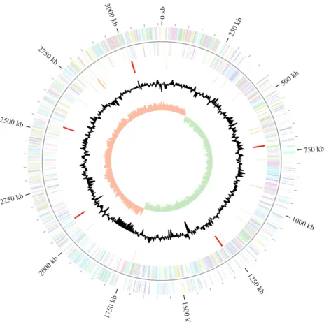 Fig. 1. Graphical circular map of the chromosome of the strain CK401. From outside to the center: Genes on forward strand (color by COG categories), Genes  on reverse  strand  (color by COG categories), RNA genes (tRNAs orange, rRNAs red, other RNAs green)