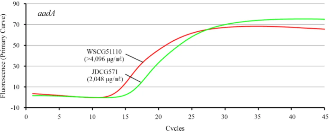 Fig. 3. Real-time PCR for comparison of aadA gene copy numbers between WSCG51110 and JDCG571 isolates having different MICs of streptomycin.