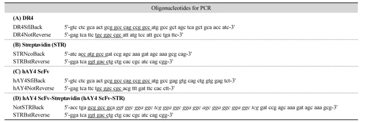 Table 1. Primers used for PCR amplification of DR4, Streptavidin, hAY4 ScFv, and hAY4 ScFv-Streptavidin genes