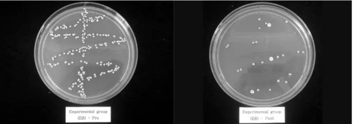 Figure 2. Changes of numbers of colonizing Candida albicans of the experimental group (Sample 8).