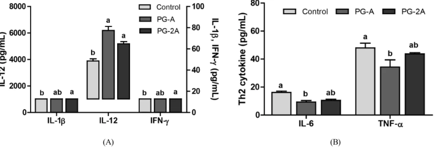 Fig.  4.  Effects  of  PG  extract  on  T  and  B  cell  proliferation  from  splenocytes  of  C57BL/6  mice 