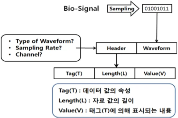 Fig. 3.  TLV  structure  of  MFER
