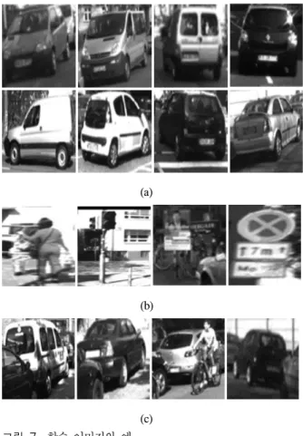 Fig. 7.  The  example  of  training  image