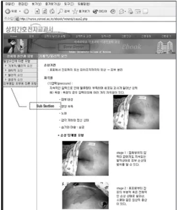Figure 2. Main screen of the web-based wound care course