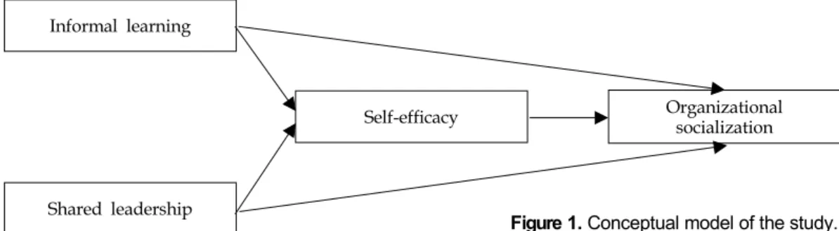 Figure 1. Conceptual model of the study.
