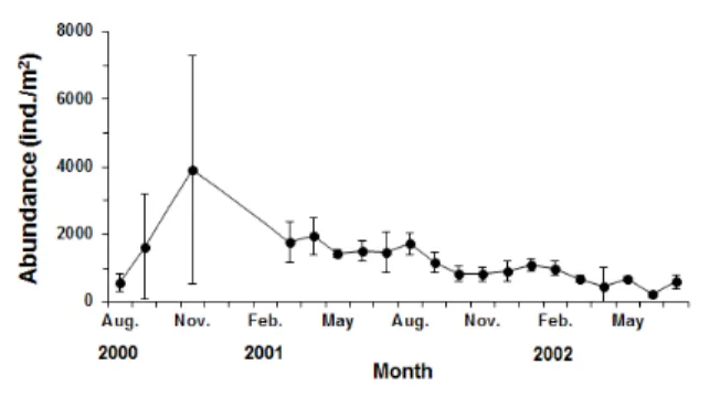 Fig. 4. Size frequency distribution of Ruditapes philippinarum in Gomso culturing ground.