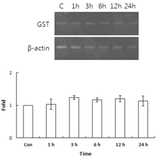 Fig. 4. Expression of GST mRNA in cultured at 25℃ during 5  days  in  starvation.  Con:  control,  1d:  1  day,  2d:  2  days,  3d: 3 days, 4d: 4 days, 5d: 5 days (** P < 0.01)