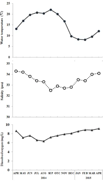 Fig. 3. Survival rate (%) 3-year-old abalone, Haliotis discuss  hannai  reared  with  different  density  in  net  cage  culture  for a year