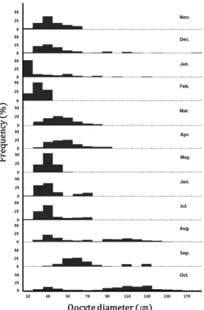 Fig.  3.  Monthly  variations  of  gonad  index  (GI)  in  Haliotis  discus discus. 