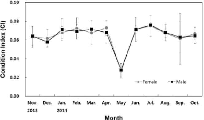 Fig.  5.  Monthly  variations  of  condition  index  (CI)  in  Haliotis  discus discus