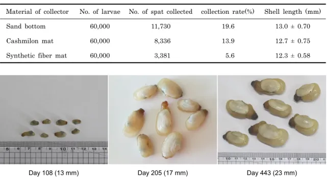 Table 4. Settling rate in full-grown larvae of Panopea japonica depending on collecting substances