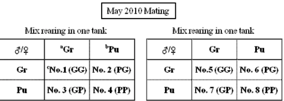 Table 1. 6 microsatellite markers for offspring assigned 
