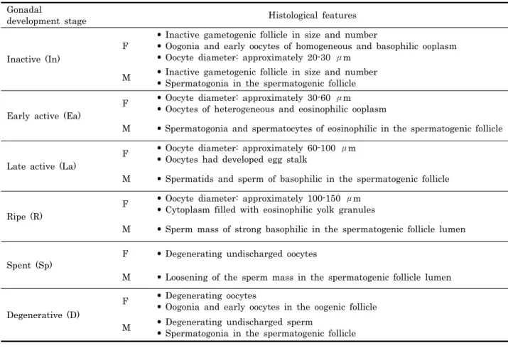 Table 1. Histological features with gonadal development stage of Haliotis discus hannai