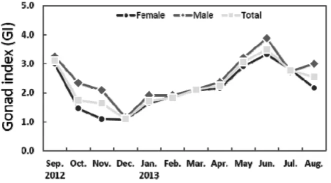 Fig. 3. Monthly variations of gonad index (GI) in Haliotis  discus hannai. Vertical bars indicate standard deviation