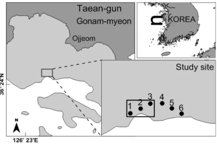 Fig. 1. Map of study area and 6 sampling stations in  Taean-gun. Rectangular box indicates the adding-sand  area
