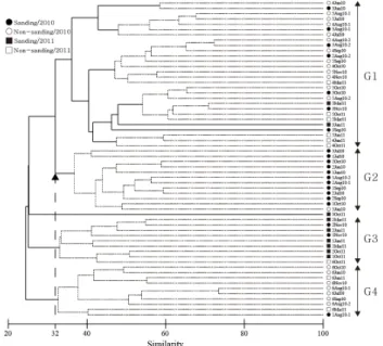 Fig. 7. Dendrogram resulted from cluster analysis. Doted  lines within the dendrogram represent the result of  SIMPROF test.