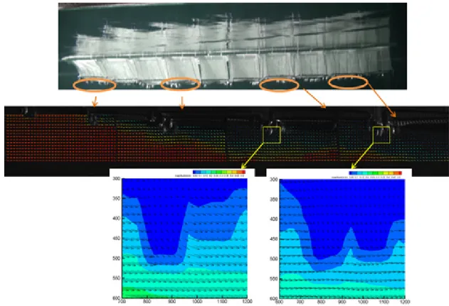 Fig. 5. The speeds and directions of current under the model cage in the circulating water channel.