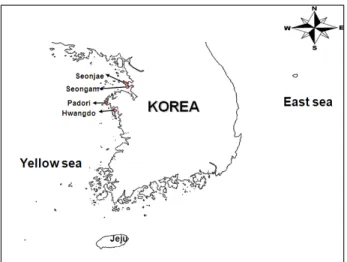 Fig. 1. Location of sampling stations in Seonjae, Seongam,  Hwangdo and Padori.