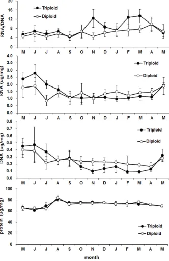 Fig. 6. Monthly changes of nucleic acid ratio and  concentration in mantle of triploid and diploid oysters,  Crassostrea gigas