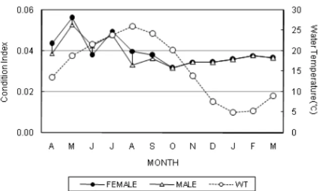 Fig. 1. Monthly changes in the condition index of Coecella  chinensis. 