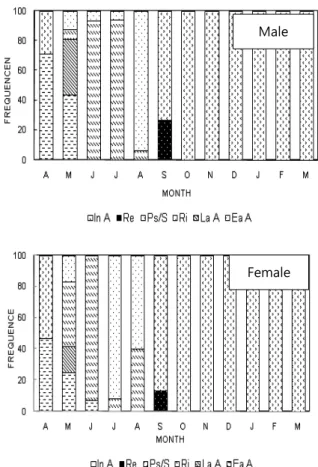 Fig. 3. Monthly changes in relative frequency distribution of the  ovarian egg diameter of Coecella chinensis.