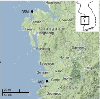 Fig. 1. Location map of the Daejuk-ri Shell Middens (DSM)  and sampling site of modern shell specimens (MS)