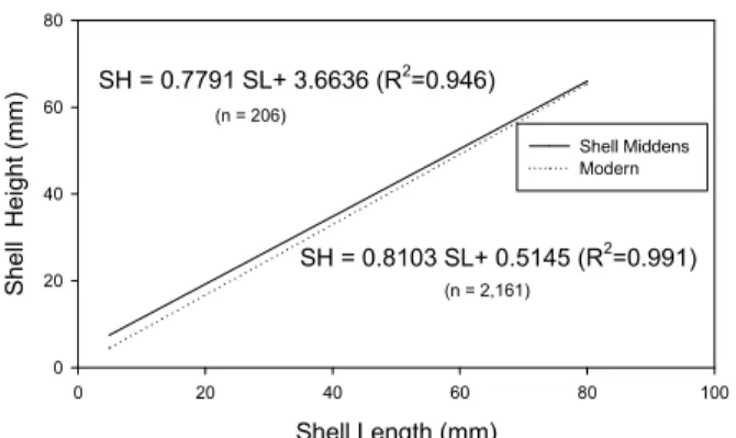 Table 2. The result of the tests regarding the differences between regression coefficients and elevations on the  von Bertalanffy equation (shell length) of the modern and shell midden hard clam (Meretrix petechialis)  specimens