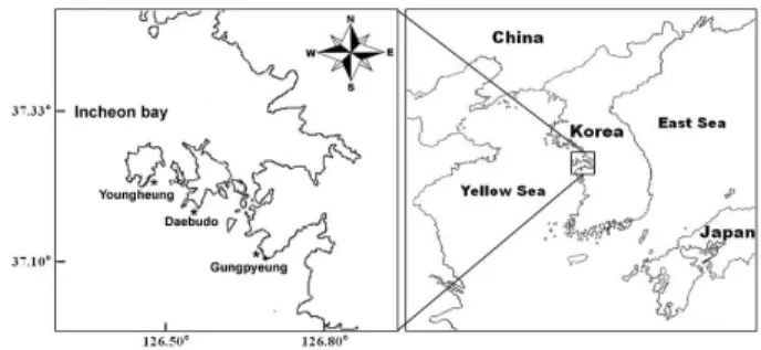 Fig. 1. Sampling locations in Incheon bay.