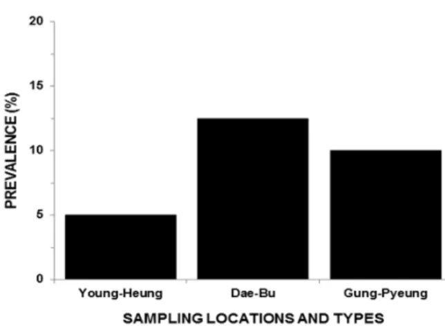Fig. 5. Prevalence of Cercaria infection in the stranded  Manila clams in the sampling sites