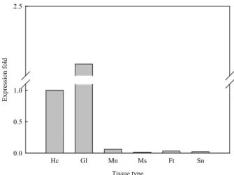 Fig. 3. Tissue-specific expression analysis of McCathepsin D  mRNA. The relative mRNA expression of each tissue  was normalized with expression in Hc-hemocyte; 
