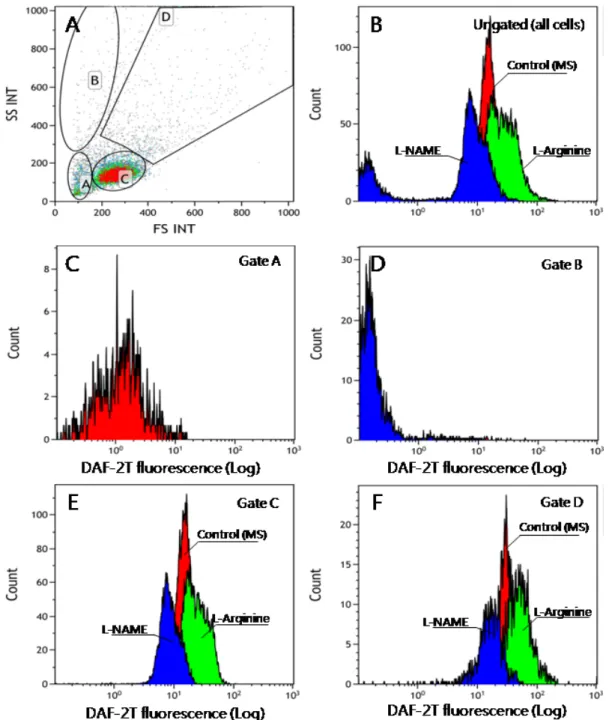 Fig. 3. Comparison of NO concentration measured by image analysis (A), fluorescent spectrophotometry (B)  and flow cytometry (C)
