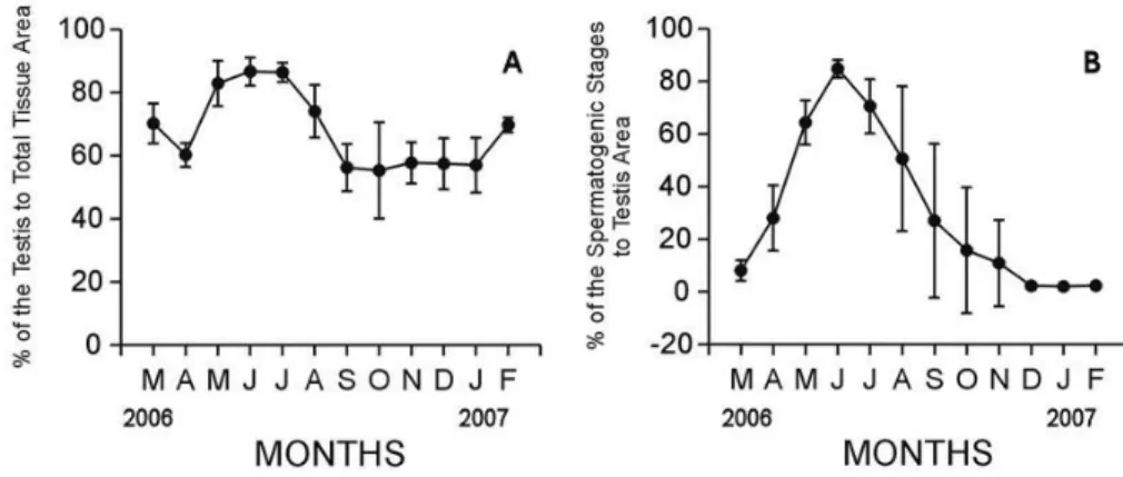 Fig. 6. Monthly changes in quantitative reproductive traits in male Chlamys (Azumapecten) farreri  nipponensis