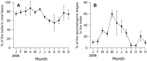 Fig. 3. Monthly changes in quantitative reproductive traits in male Atriana (Servatrina) pectinata