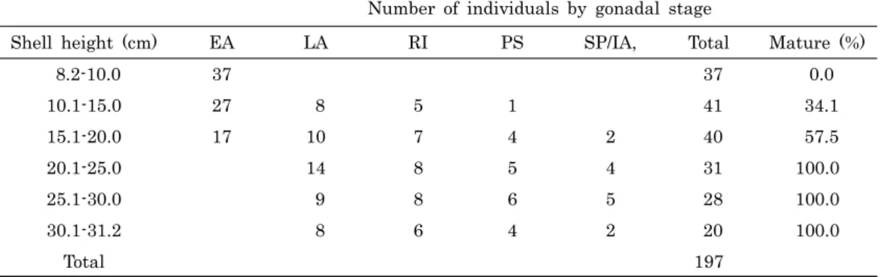 Table 2. Shell height of first sexual maturity in male Atrina (Servatrina) pectinata from April    to September,  2008 