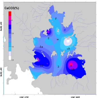 Fig. 4. Comparison of C/N ratio of stations in Goseong bay.